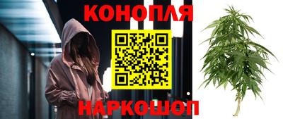 гидра Добрянка