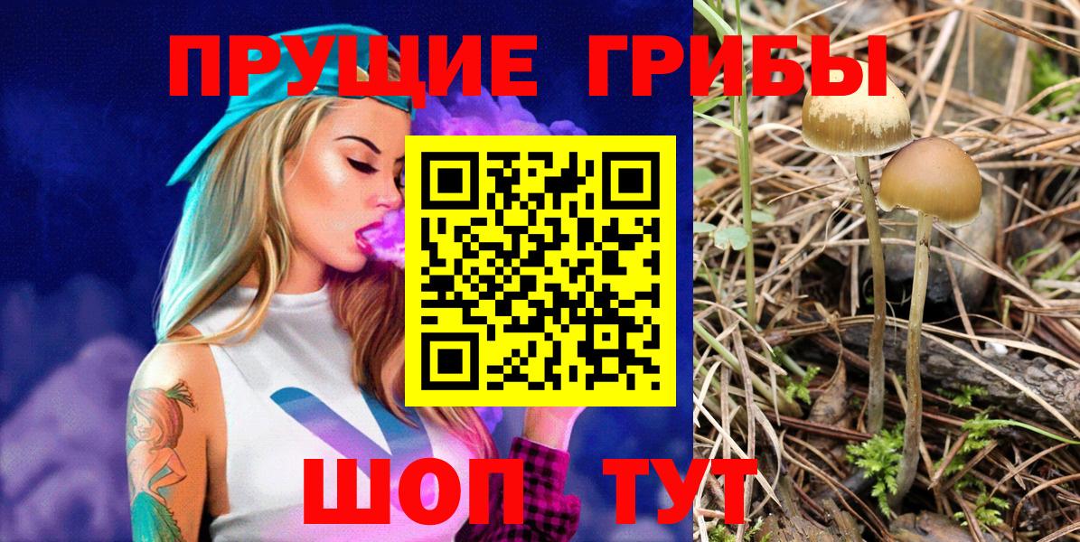Вязьма  Галлюциногенные грибы Psilocybine cubensis  Галлюциногенные грибы мухоморы  Вход с VPN 